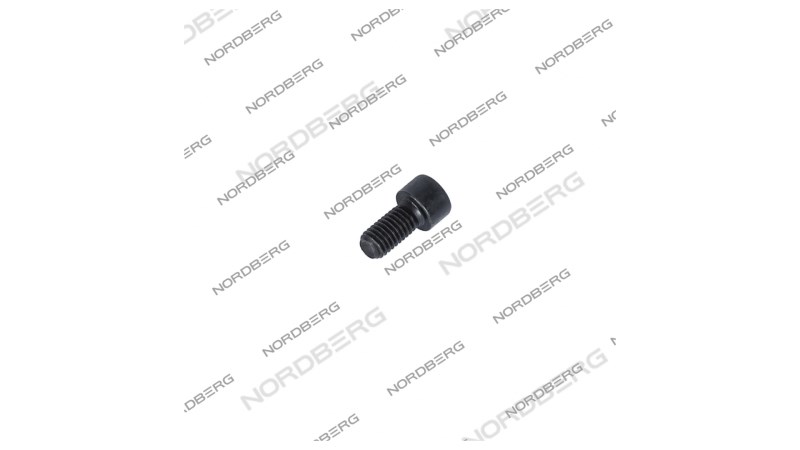  Винт с шестигранной головкой под торцевой ключ рейки SUV для N631-3,5 X006560 (0)