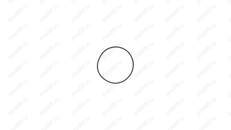  Кольцо резиновое O-Ring (48*1) п.23 для RT-5277 (0)