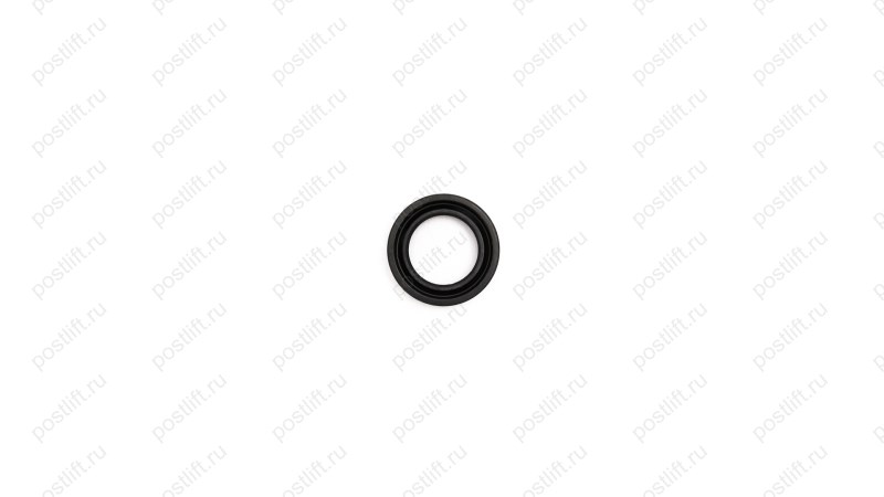  Plunger oil seal 5004204212401 Сальник поз. № 24 (0)